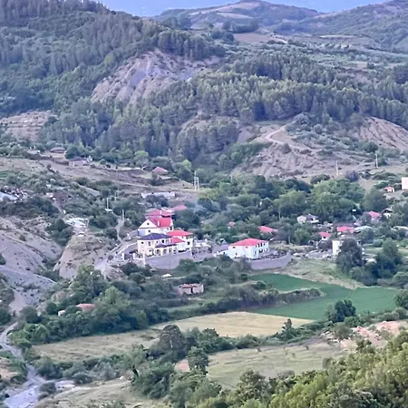 Iliri Villa *
